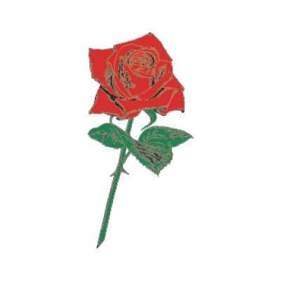 �^�g�D�[�V�[���@�K�N��ցi�^�g�D�[�E�h�V�[���j