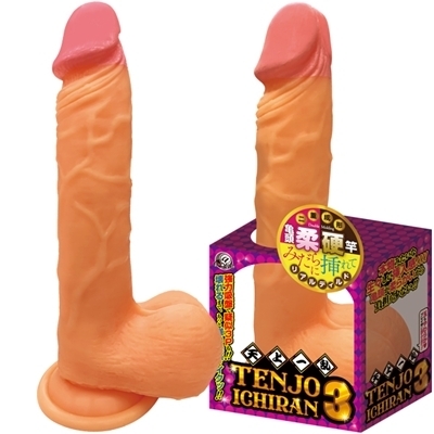 �V��ꗐ�@�i�R�j�i�������E�f�B���h�j